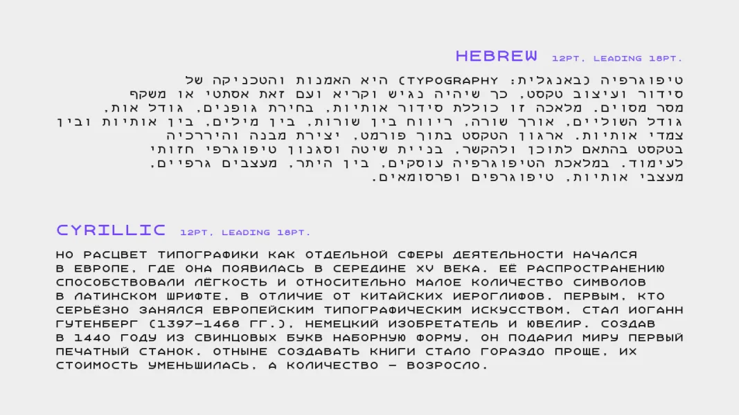 Xanmono Font Family preview 4
