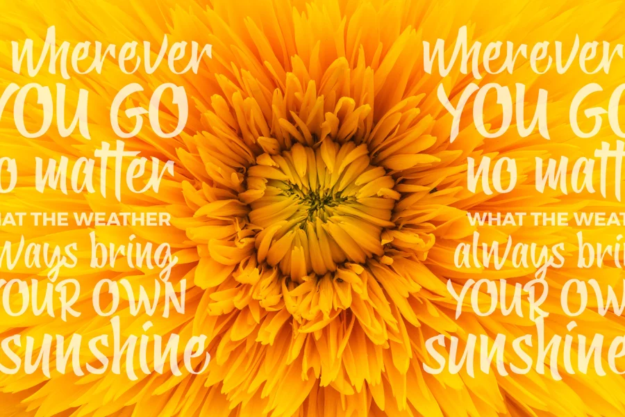 Yellow Ginger Font preview 2
