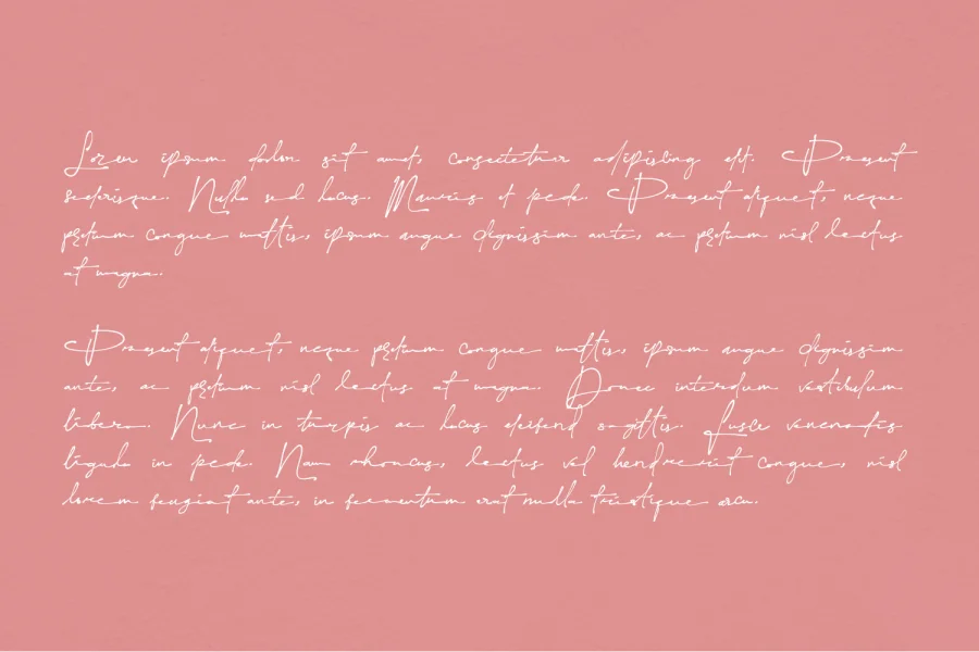 Yonitta Signature Font preview 10