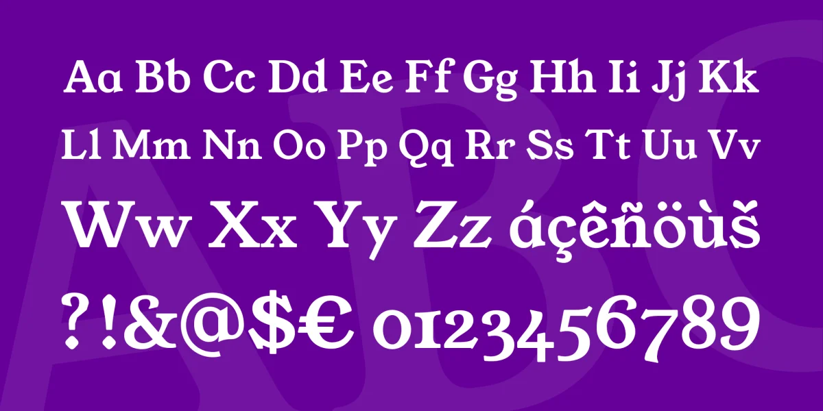 Young Serif Font Family preview 5