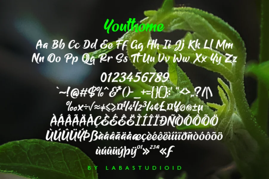Youthome Font preview 4