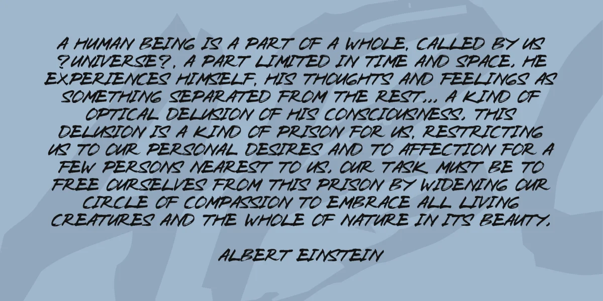 Zombie Carshel Font preview 3