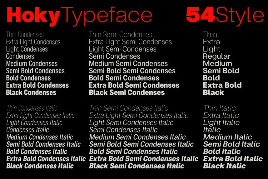 ZT Hoky Typeface preview 4
