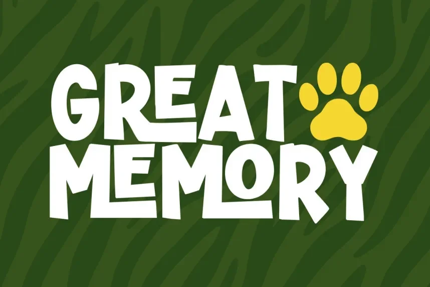 Zurambi Display Font preview 3