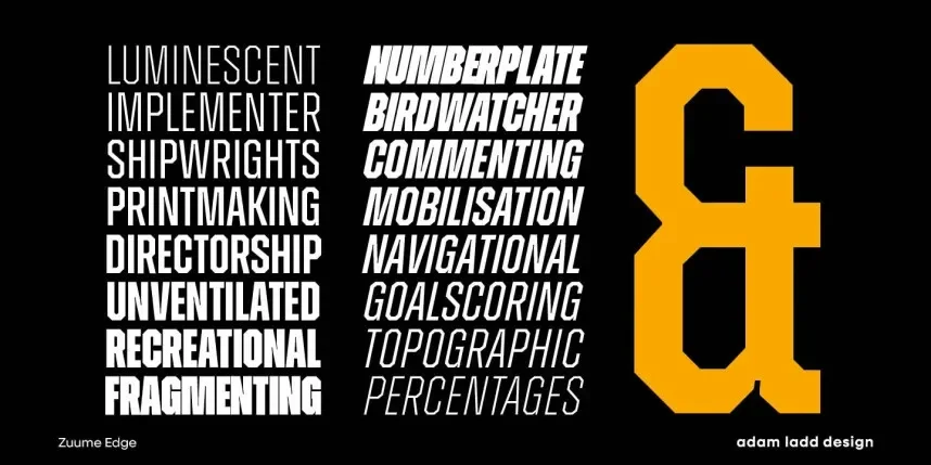 Zuume Edge Font Family preview 5