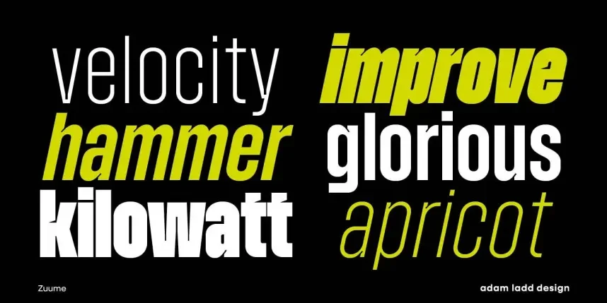 Zuume Font Family preview 6